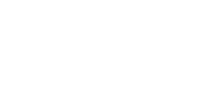 81%